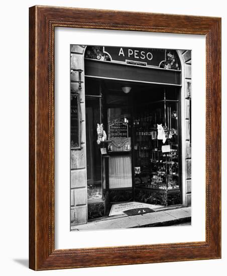 Cats Perching Outside Entrance to Perfume Shop-Alfred Eisenstaedt-Framed Photographic Print