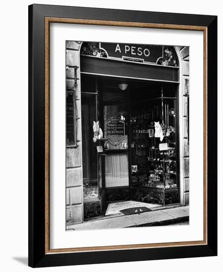 Cats Perching Outside Entrance to Perfume Shop-Alfred Eisenstaedt-Framed Photographic Print