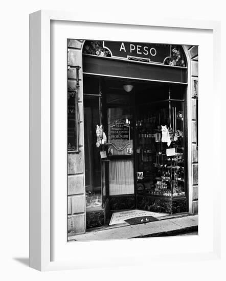 Cats Perching Outside Entrance to Perfume Shop-Alfred Eisenstaedt-Framed Photographic Print
