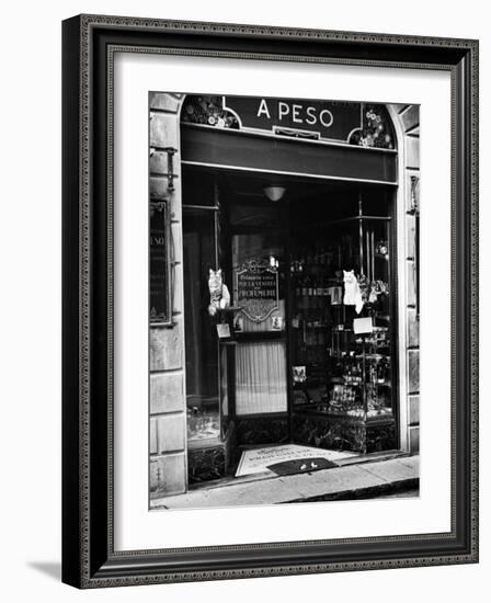 Cats Perching Outside Entrance to Perfume Shop-Alfred Eisenstaedt-Framed Photographic Print