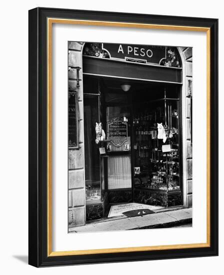 Cats Perching Outside Entrance to Perfume Shop-Alfred Eisenstaedt-Framed Photographic Print