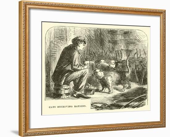 Cats Receiving Rations-null-Framed Giclee Print