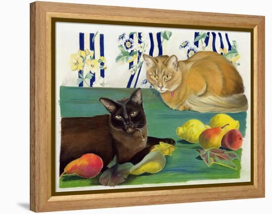 Cats with Fruit-Anne Robinson-Framed Premier Image Canvas