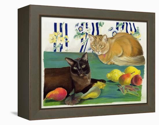 Cats with Fruit-Anne Robinson-Framed Premier Image Canvas