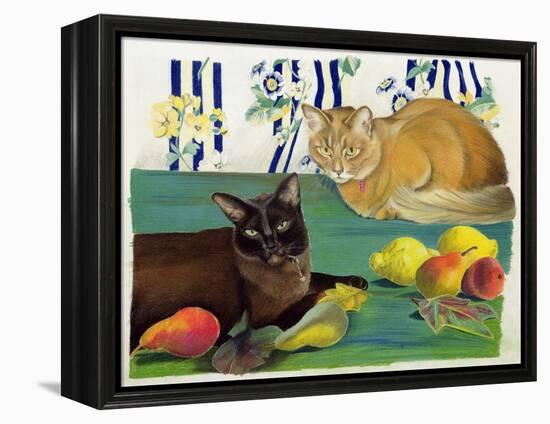 Cats with Fruit-Anne Robinson-Framed Premier Image Canvas