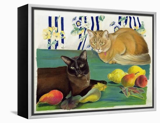 Cats with Fruit-Anne Robinson-Framed Premier Image Canvas