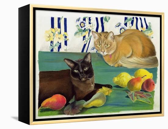 Cats with Fruit-Anne Robinson-Framed Premier Image Canvas