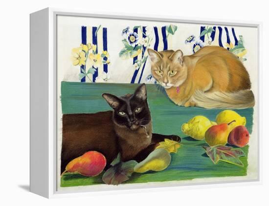 Cats with Fruit-Anne Robinson-Framed Premier Image Canvas