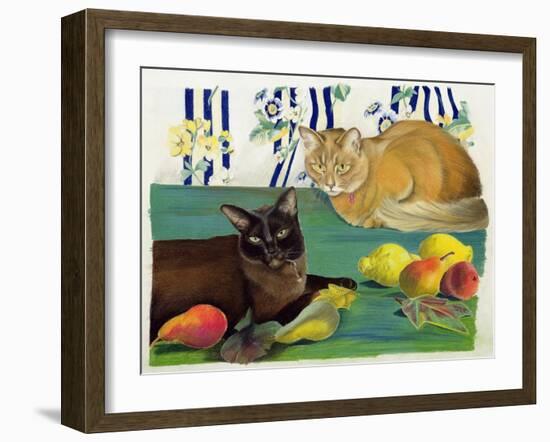 Cats with Fruit-Anne Robinson-Framed Giclee Print