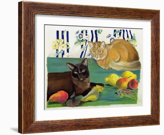 Cats with Fruit-Anne Robinson-Framed Giclee Print