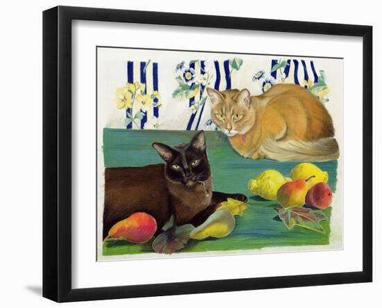 Cats with Fruit-Anne Robinson-Framed Giclee Print