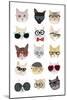 Cats with Glasses-Hanna Melin-Mounted Giclee Print