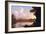 Catskill Creek-Frederic Edwin Church-Framed Art Print