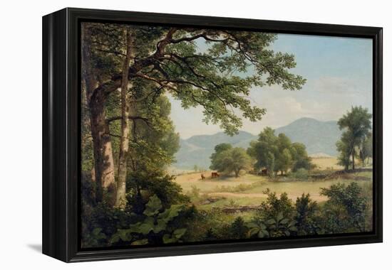 Catskill Meadows in Summer, 1861-Asher Brown Durand-Framed Premier Image Canvas