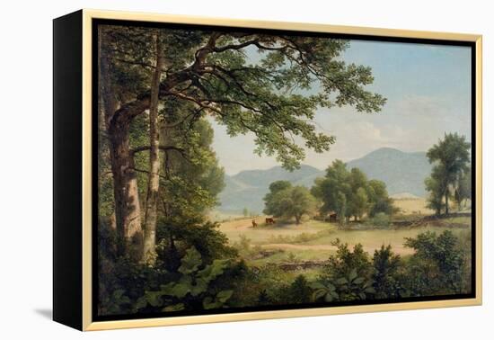 Catskill Meadows in Summer, 1861-Asher Brown Durand-Framed Premier Image Canvas