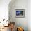 Catskills, New York, USA-null-Framed Photographic Print displayed on a wall