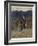 Catskin-Arthur Rackham-Framed Photographic Print