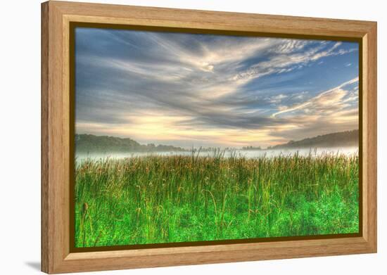 Cattails and Sky-Robert Goldwitz-Framed Premier Image Canvas