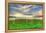 Cattails and Sky-Robert Goldwitz-Framed Premier Image Canvas