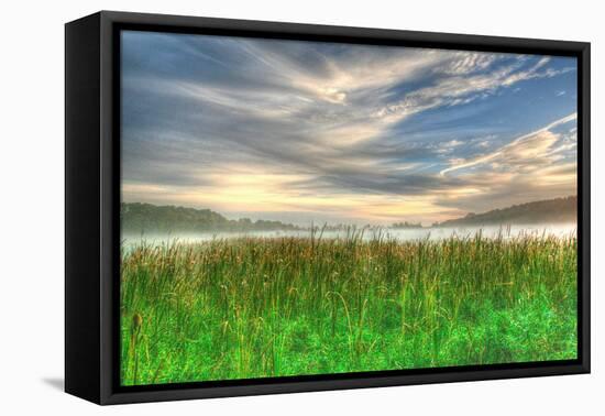 Cattails and Sky-Robert Goldwitz-Framed Premier Image Canvas