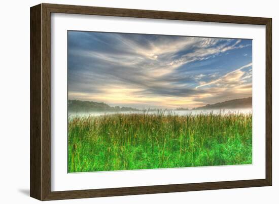 Cattails and Sky-Robert Goldwitz-Framed Photographic Print