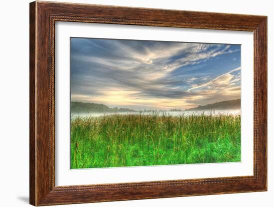 Cattails and Sky-Robert Goldwitz-Framed Photographic Print