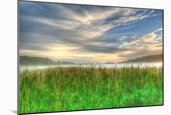 Cattails and Sky-Robert Goldwitz-Mounted Photographic Print