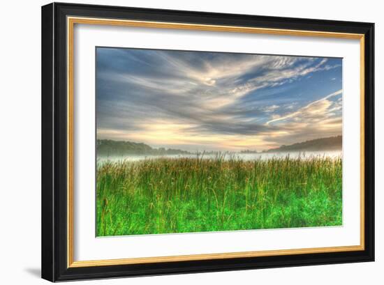 Cattails and Sky-Robert Goldwitz-Framed Photographic Print