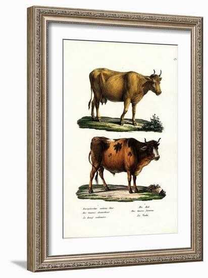 Cattle, 1824-Karl Joseph Brodtmann-Framed Giclee Print
