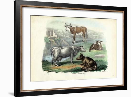 Cattle, 1863-79-Raimundo Petraroja-Framed Giclee Print