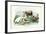 Cattle, 1863-79-Raimundo Petraroja-Framed Giclee Print