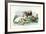 Cattle, 1863-79-Raimundo Petraroja-Framed Giclee Print