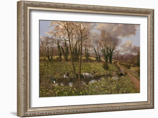 Cattle And Daffodils-Bill Makinson-Framed Giclee Print