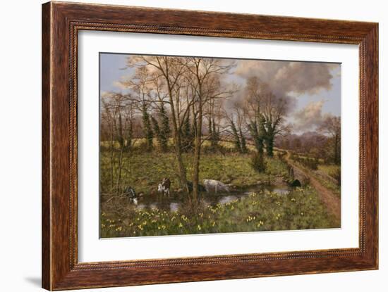Cattle And Daffodils-Bill Makinson-Framed Giclee Print