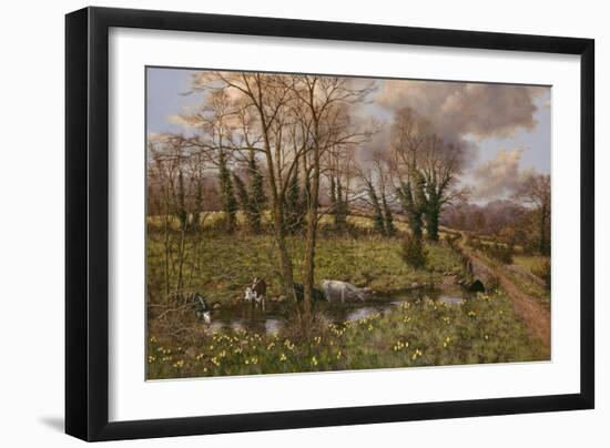 Cattle And Daffodils-Bill Makinson-Framed Giclee Print