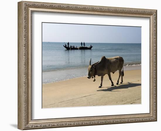 Cattle and Fishing Boat, Benaulim, Goa, India, Asia-Stuart Black-Framed Photographic Print