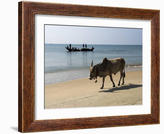 Cattle and Fishing Boat, Benaulim, Goa, India, Asia-Stuart Black-Framed Photographic Print