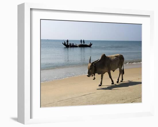 Cattle and Fishing Boat, Benaulim, Goa, India, Asia-Stuart Black-Framed Photographic Print