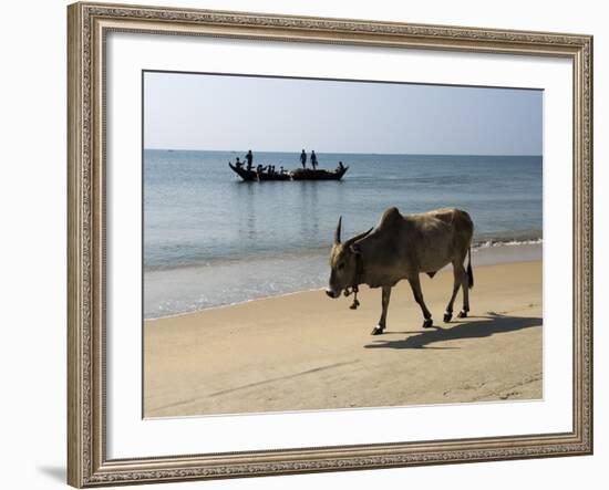 Cattle and Fishing Boat, Benaulim, Goa, India, Asia-Stuart Black-Framed Photographic Print