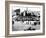 Cattle and Wholesale Market, Kidderminster, 1900-English Photographer-Framed Photographic Print