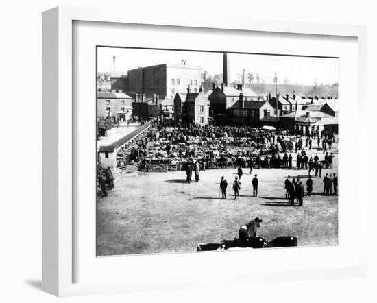 Cattle and Wholesale Market, Kidderminster, 1900-English Photographer-Framed Photographic Print