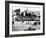 Cattle and Wholesale Market, Kidderminster, 1900-English Photographer-Framed Photographic Print