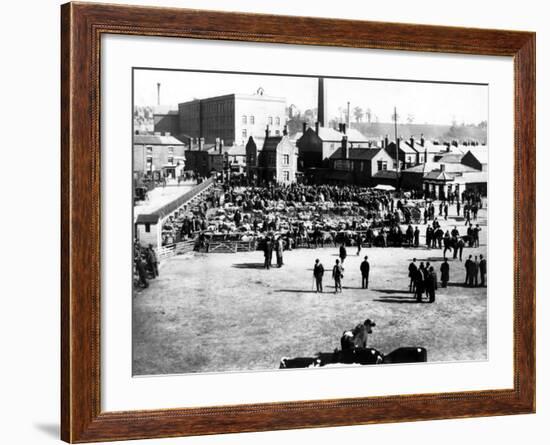 Cattle and Wholesale Market, Kidderminster, 1900-English Photographer-Framed Photographic Print