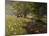 Cattle By The Stream-Bill Makinson-Mounted Giclee Print