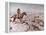 Cattle Drive, 1898-Charles Marion Russell-Framed Premier Image Canvas