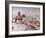 Cattle Drive, 1898-Charles Marion Russell-Framed Giclee Print