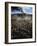 Cattle Drive at Trinchera Ranch-Loomis Dean-Framed Photographic Print