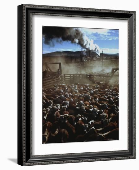 Cattle Drive at Trinchera Ranch-Loomis Dean-Framed Photographic Print