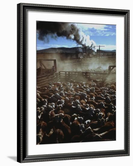 Cattle Drive at Trinchera Ranch-Loomis Dean-Framed Photographic Print