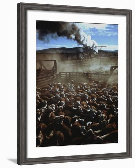 Cattle Drive at Trinchera Ranch-Loomis Dean-Framed Photographic Print